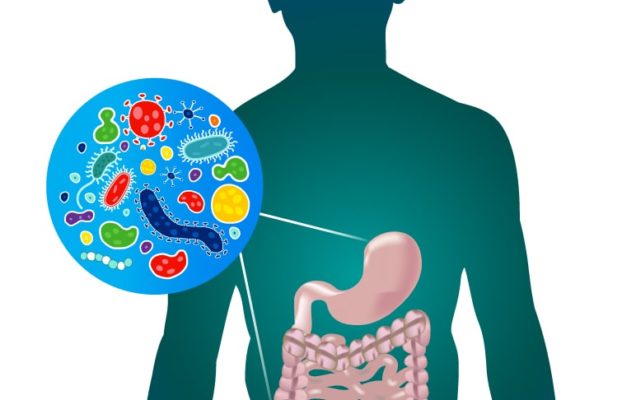 Proper Digestion – The Key to Optimal Health